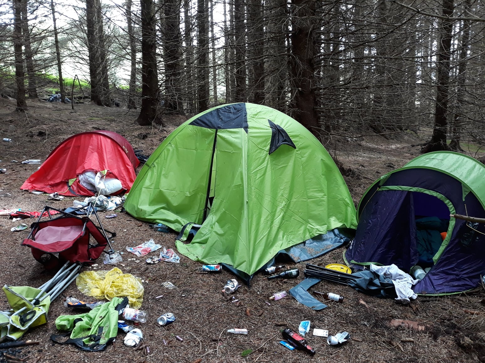 14+ Forest Camping Ltd