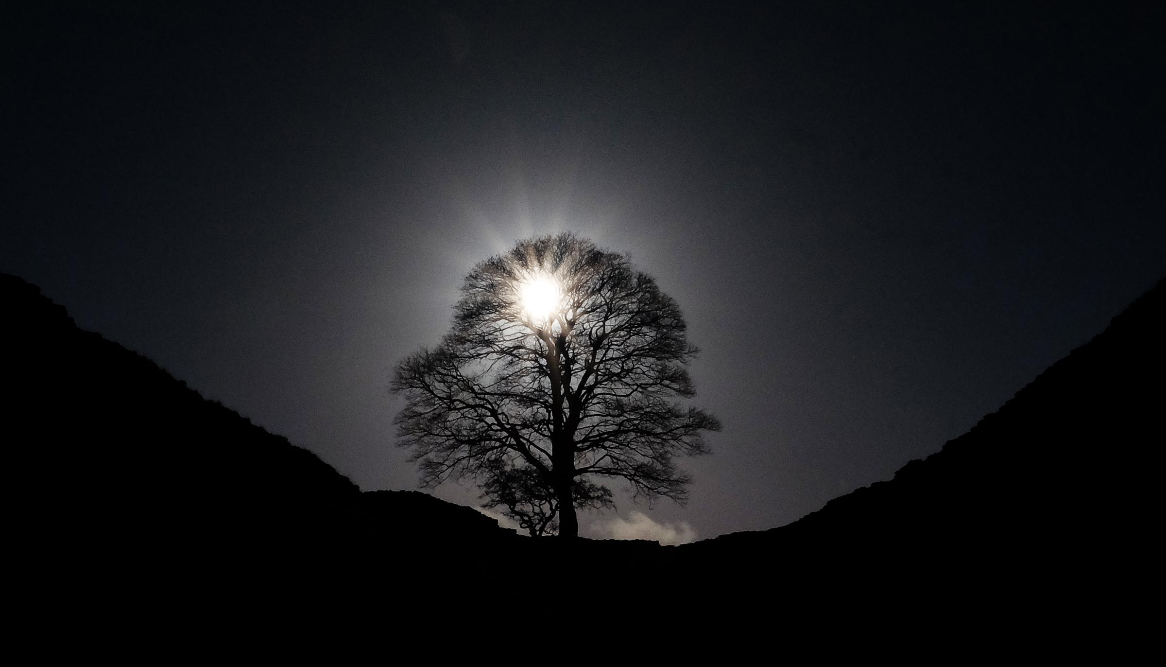 File photo dated 16/11/17 of the sun shining through a tree at the Sycamore Gap on Hadrians Wall in Northumberland. Two men will appear in court charged with causing criminal damage after the felling of the famous Sycamore Gap tree. Daniel Graham, 38,